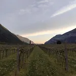 雷维纳农庄酒店 * Brentino Belluno