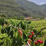 雷维纳农庄酒店 * Brentino Belluno