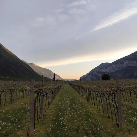 雷维纳农庄酒店 * Brentino Belluno