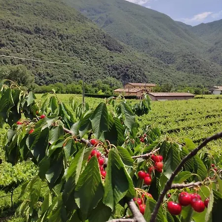 雷维纳农庄酒店 * Brentino Belluno